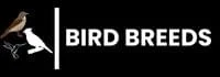Bird Breeds