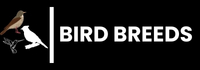 Bird Breeds