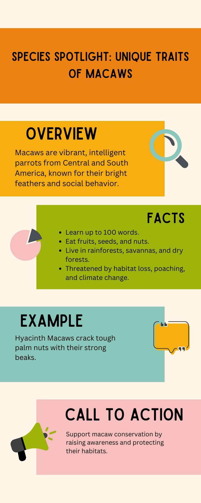 Species Spotlight: Unique Traits Of Macaws Infographic